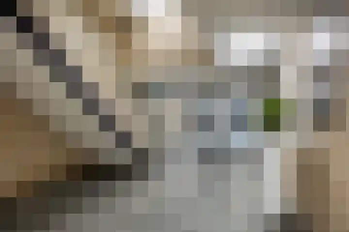 Janslangstraat 14 13 Arnhem thumbnail 23