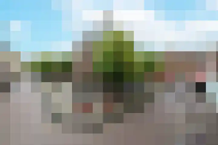 Janslangstraat 14 13 Arnhem thumbnail 34