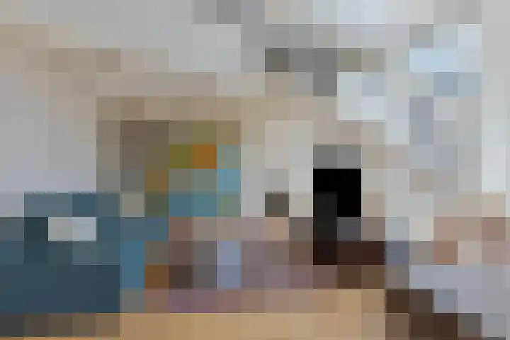 Jansplaats 11 1 Arnhem thumbnail 12