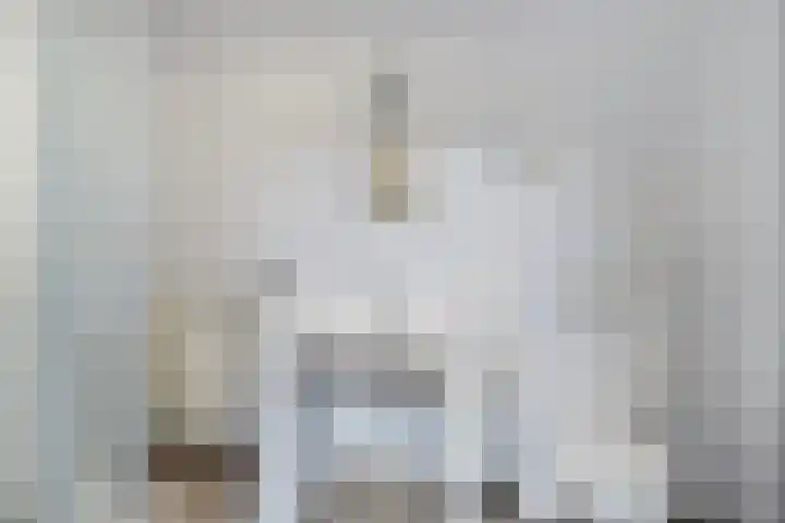Jansplaats 11 1 Arnhem thumbnail 25