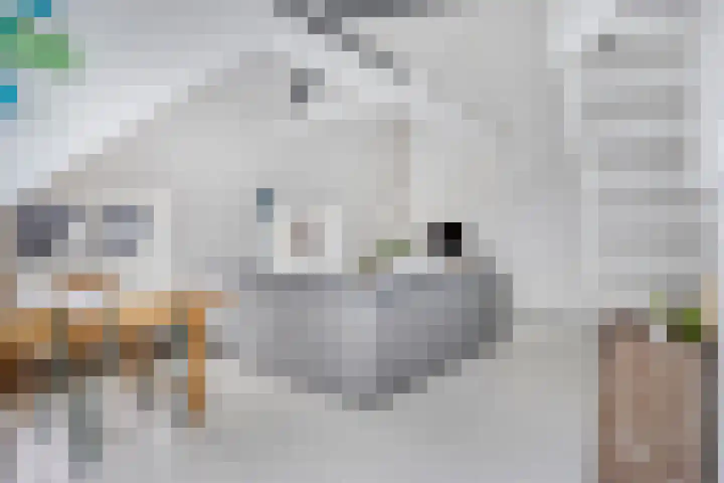Jansplaats 11 4 Arnhem thumbnail 10