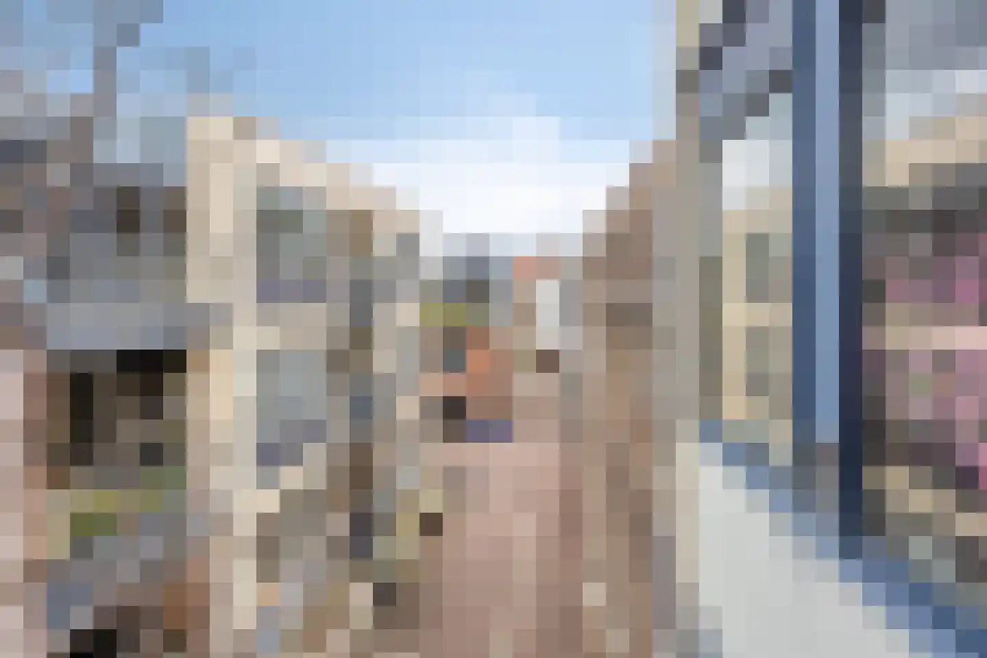 Janspoort 1 5 Arnhem thumbnail 28