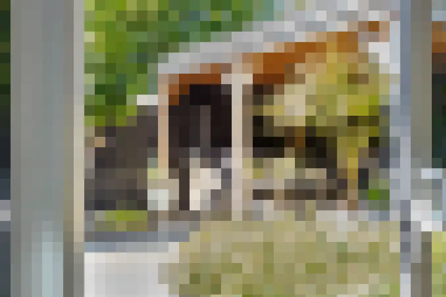Janssen & Fritsenplein 10 Helmond thumbnail 41