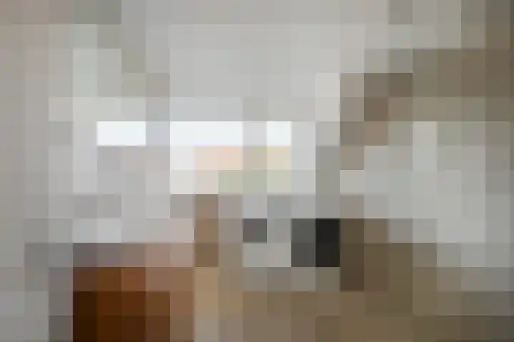 Janssen van Raaystraat 1 RD Haarlem thumbnail 22
