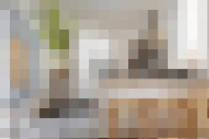 Janssen van Raaystraat 1 ZW Haarlem thumbnail 10
