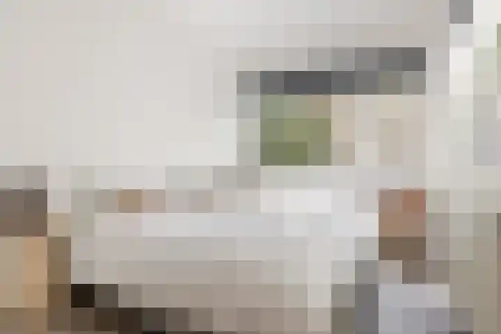 Janssen van Raaystraat 1 ZW Haarlem thumbnail 13