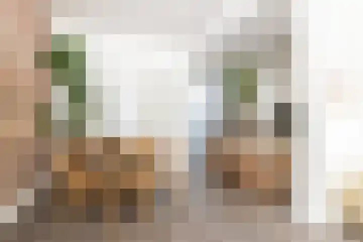 Janssen van Raaystraat 1 ZW Haarlem thumbnail 6