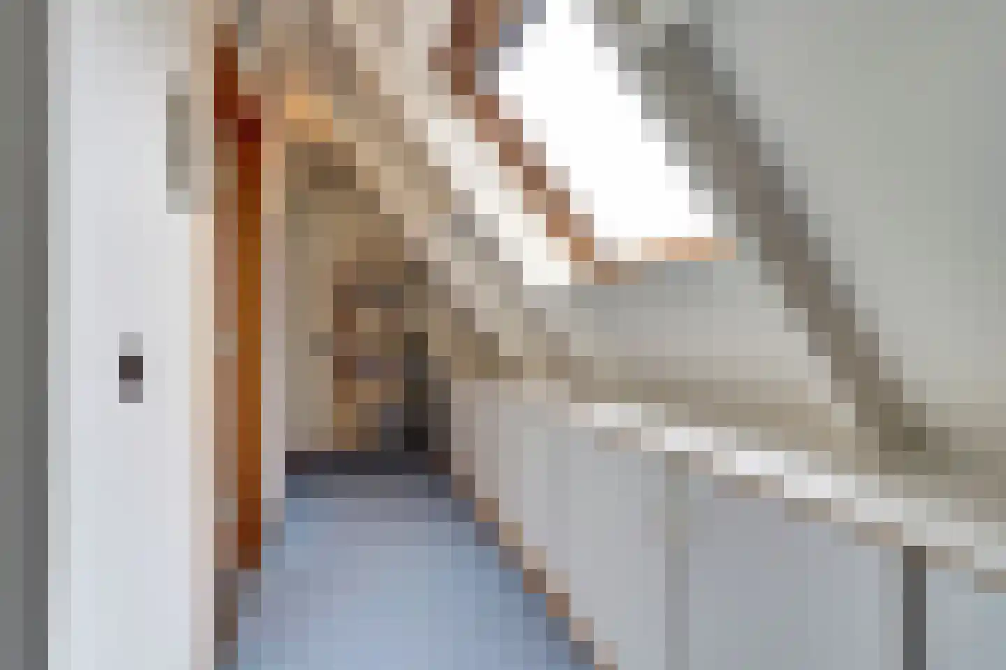 Janssensstraat 11 Aarle-Rixtel thumbnail 27