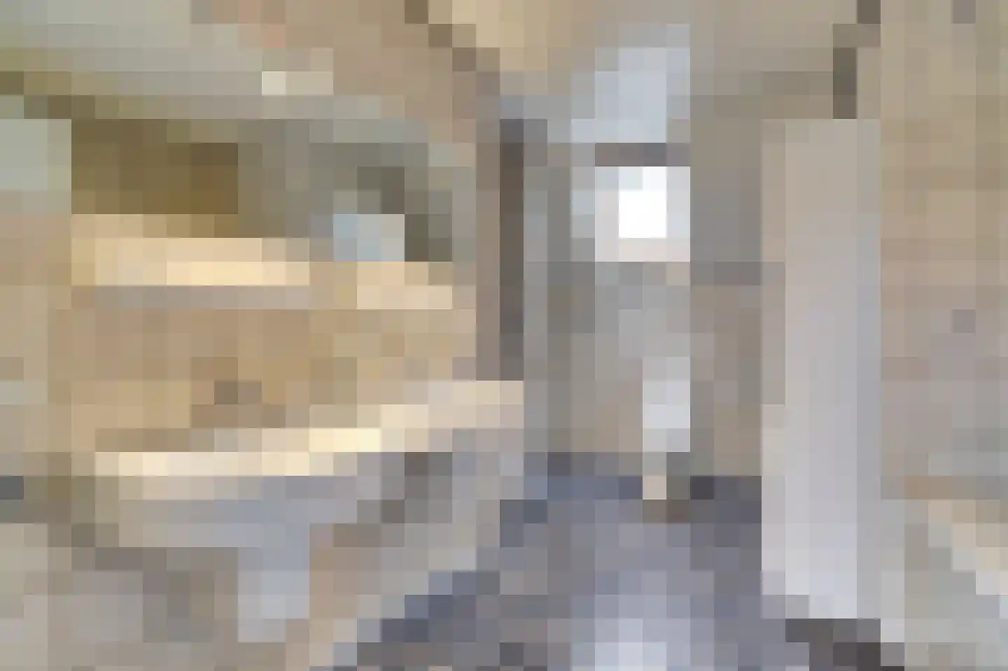 Janssensstraat 11 Aarle-Rixtel thumbnail 28