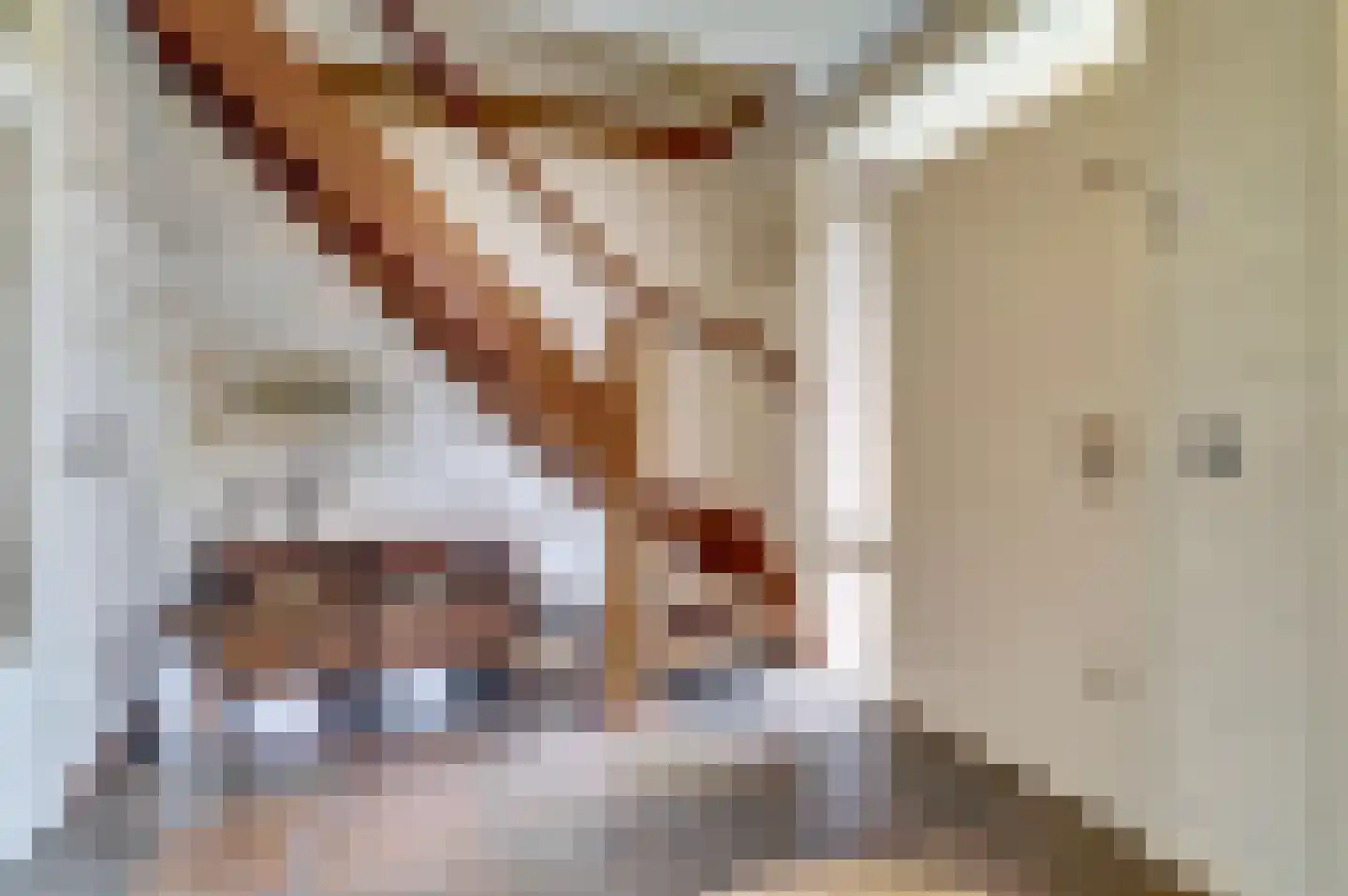 Janssensstraat 11 Aarle-Rixtel thumbnail 7