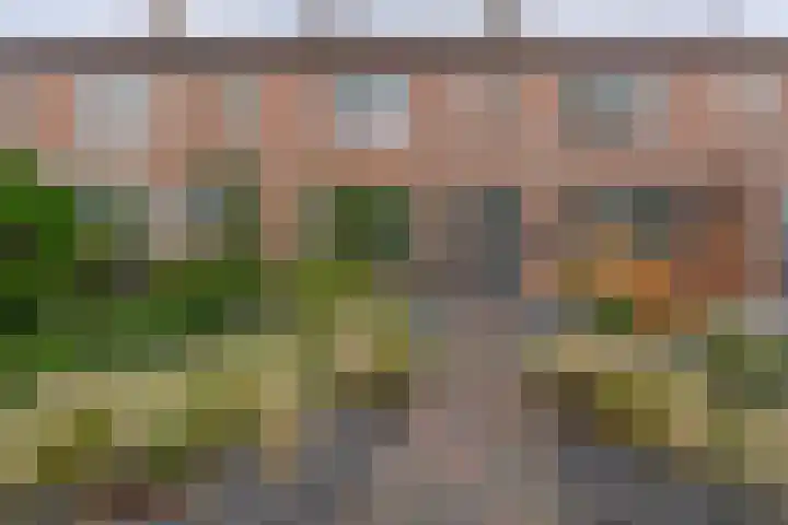 Janssensstraat 28 in Aarle-Rixtel