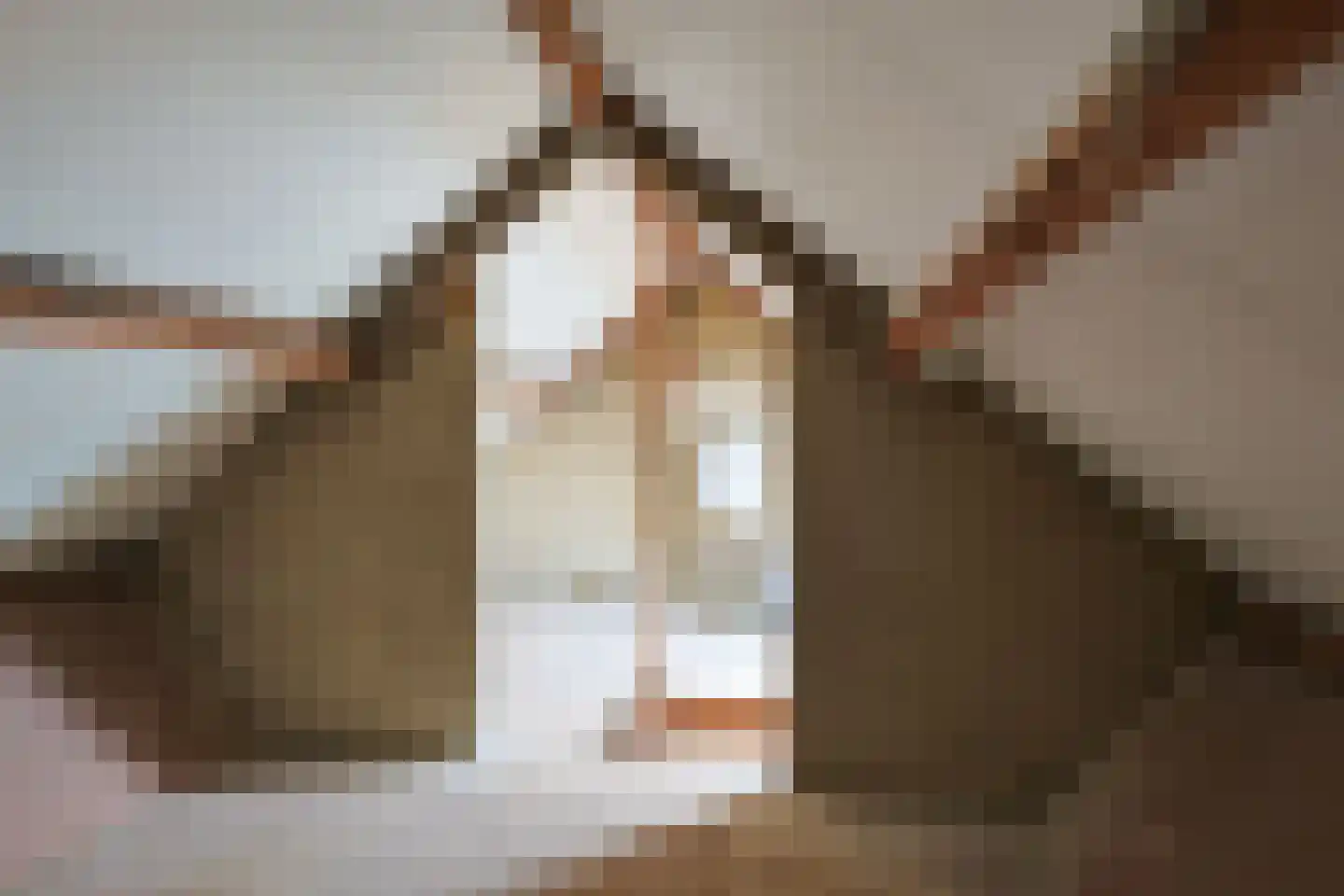 Janssensstraat 4 Geleen thumbnail 17