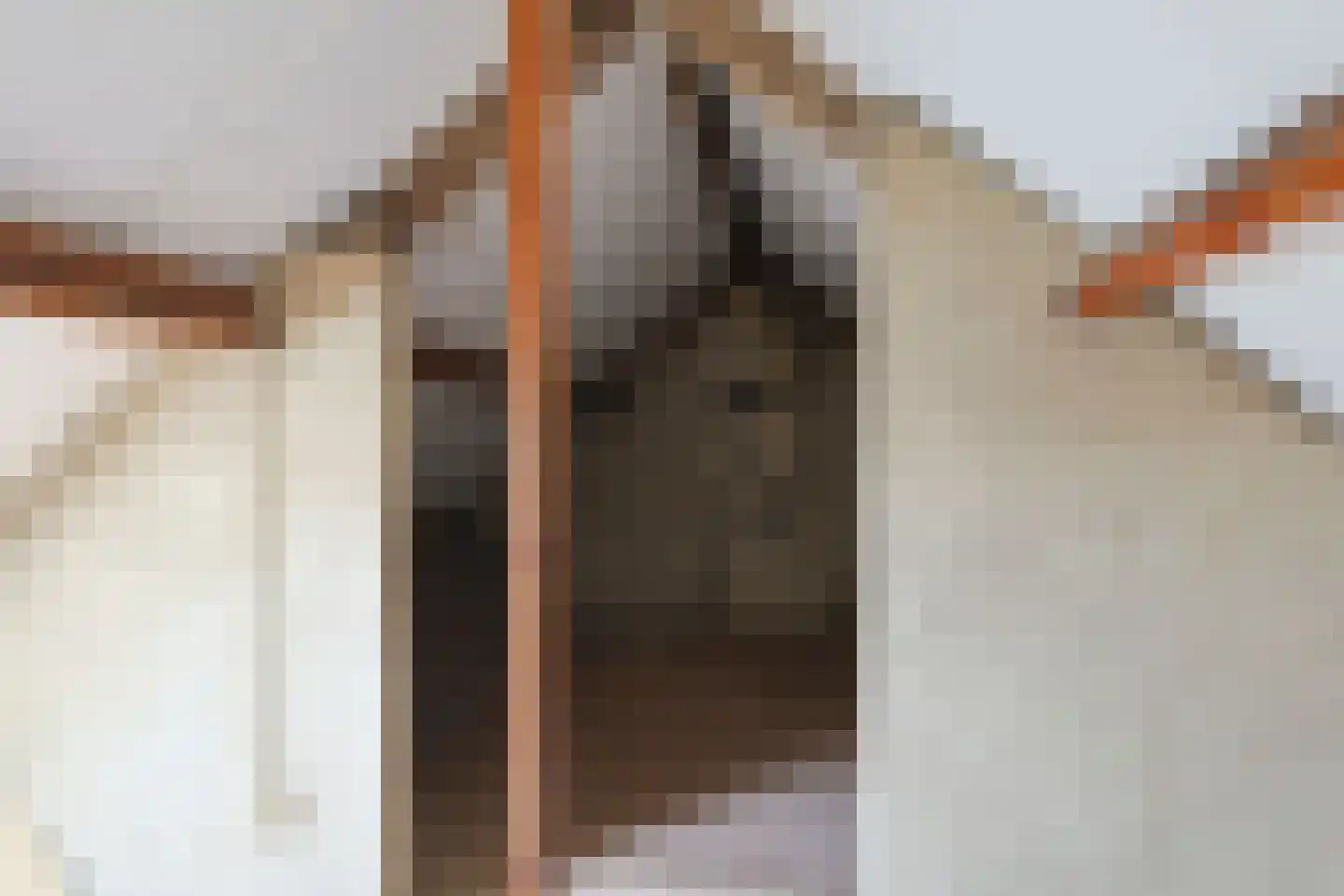Janssensstraat 4 Geleen thumbnail 18
