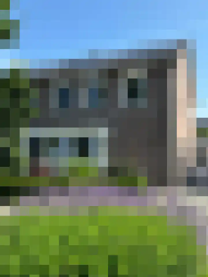 Janssensstraat 82 Aarle-Rixtel thumbnail 11