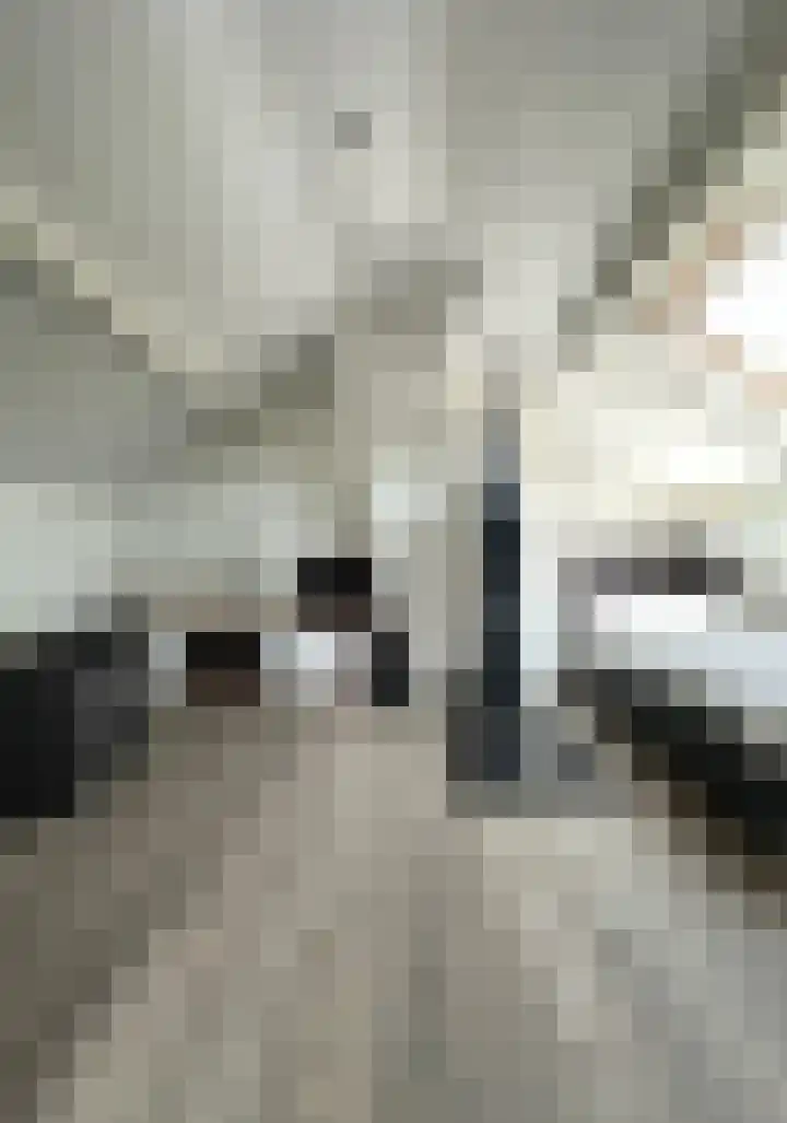 Janssensstraat 82 Aarle-Rixtel thumbnail 37
