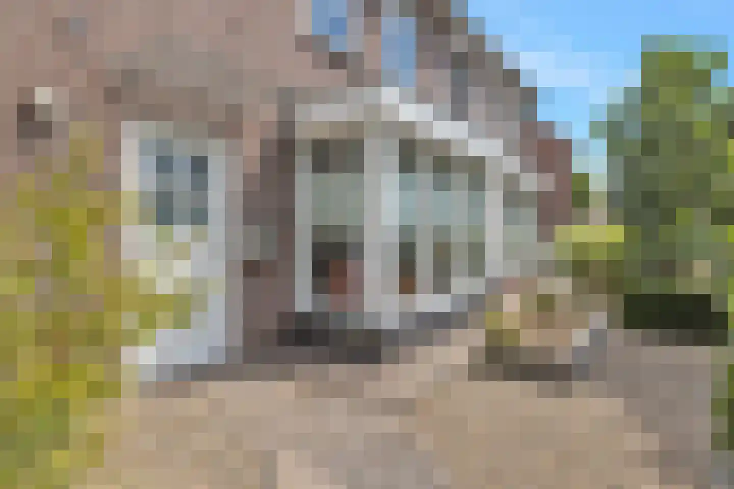 Janssensstraat 84 Aarle-Rixtel thumbnail 10