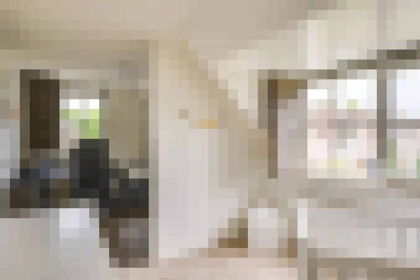 Janssenstraat 14 Helmond thumbnail 35