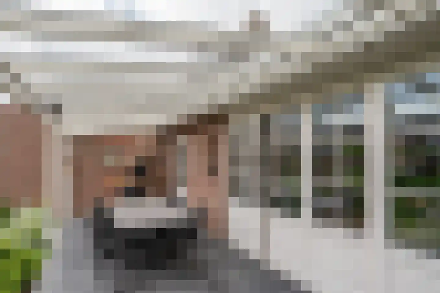 Janssenstraat 14 Helmond thumbnail 41