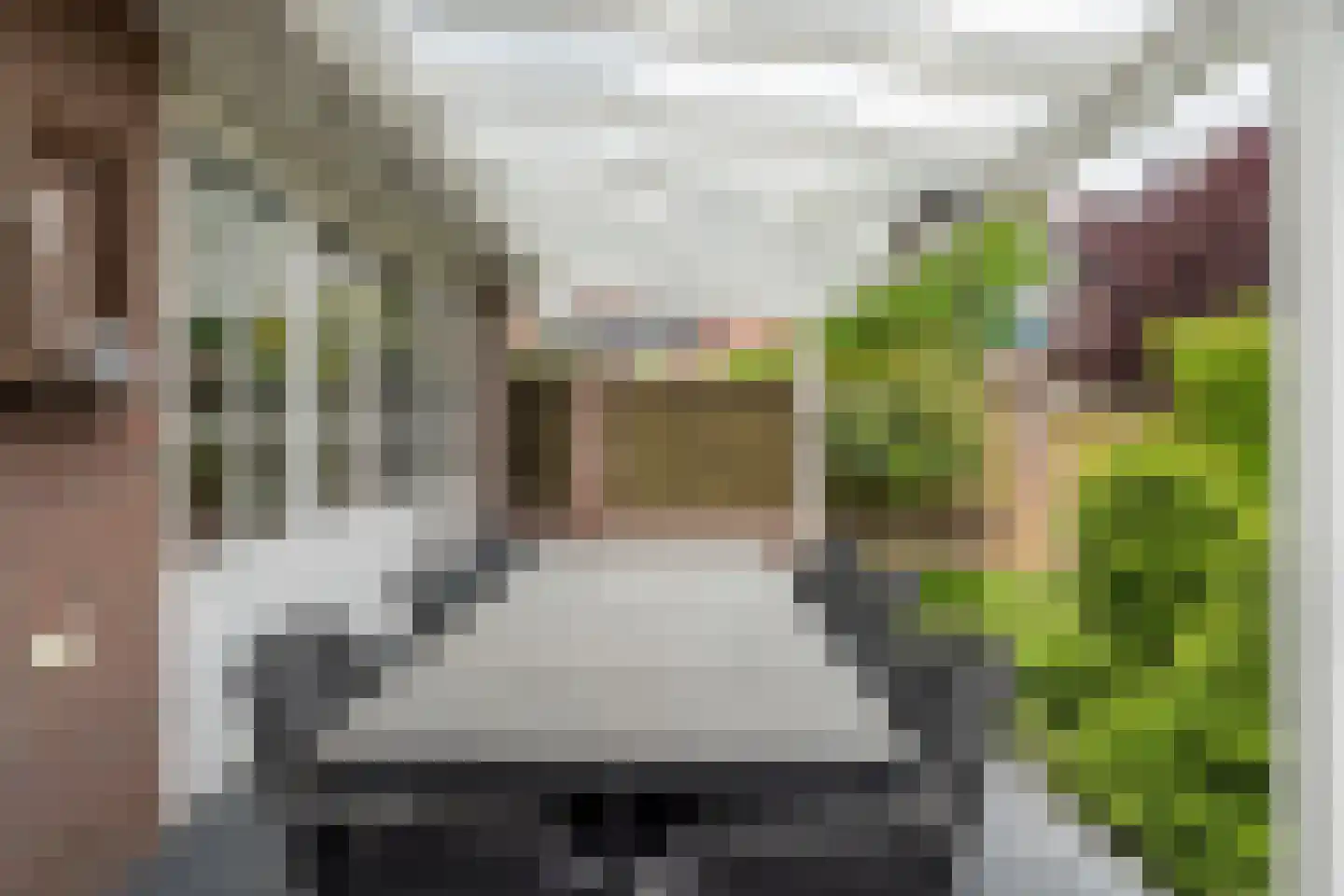 Janssenstraat 14 Helmond thumbnail 42