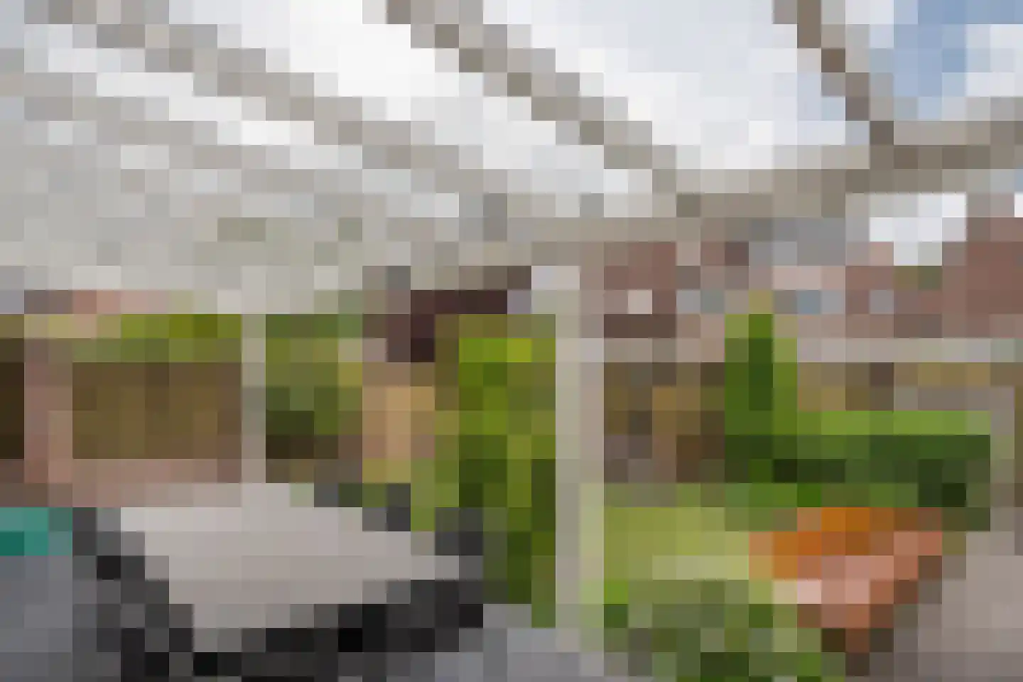 Janssenstraat 14 Helmond thumbnail 43