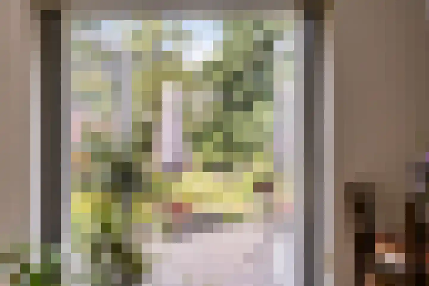 Janssoniushof 30 Waalwijk thumbnail 10