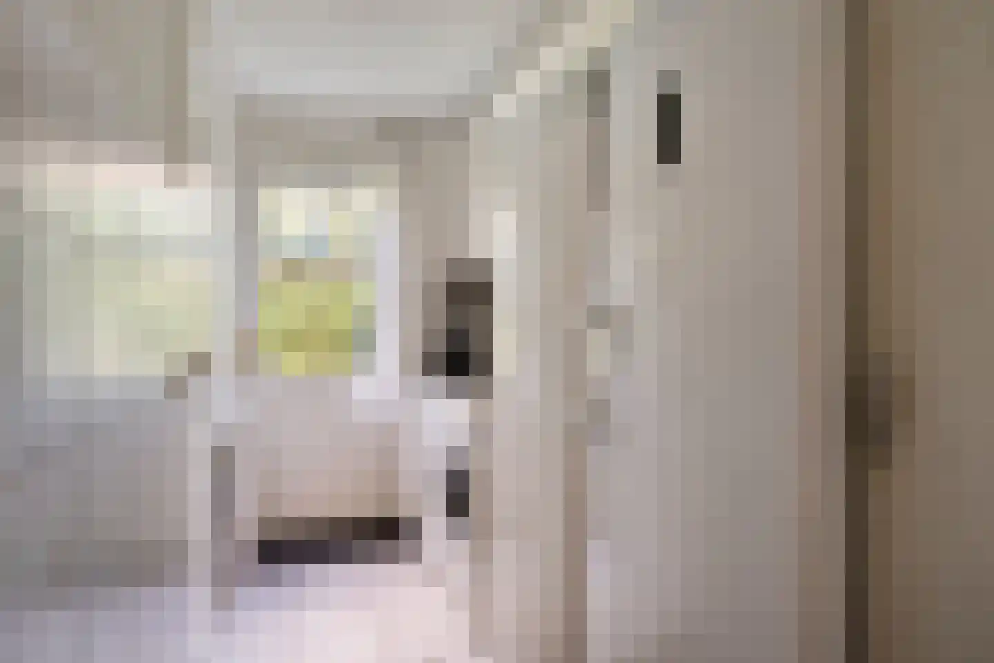 Janssoniushof 30 Waalwijk thumbnail 24
