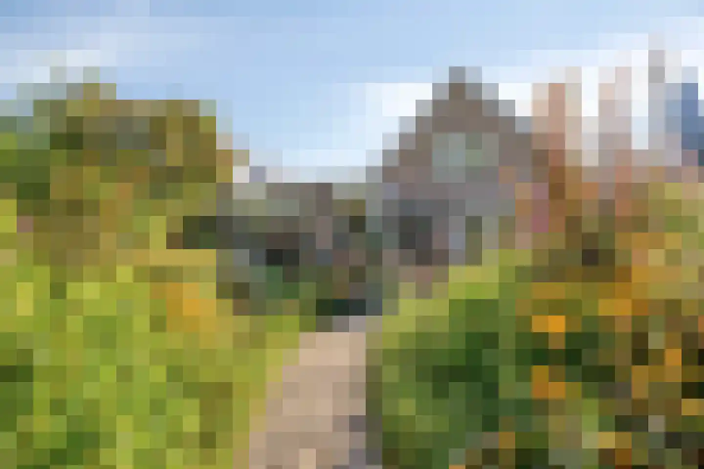 Janssoniushof 30 Waalwijk thumbnail 27