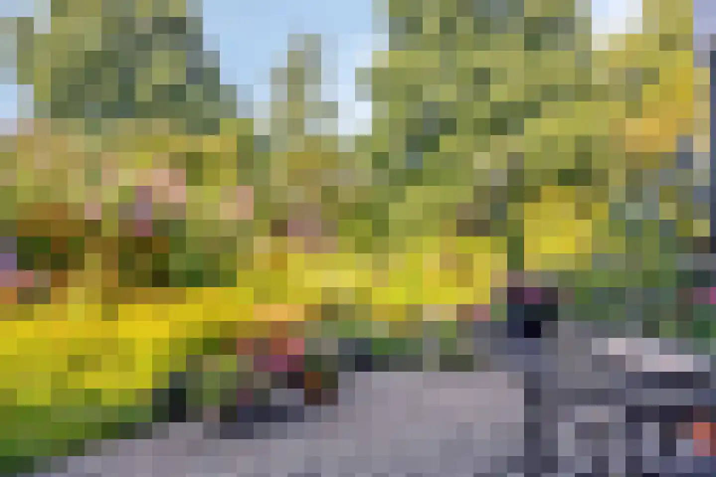 Janssoniushof 30 Waalwijk thumbnail 29