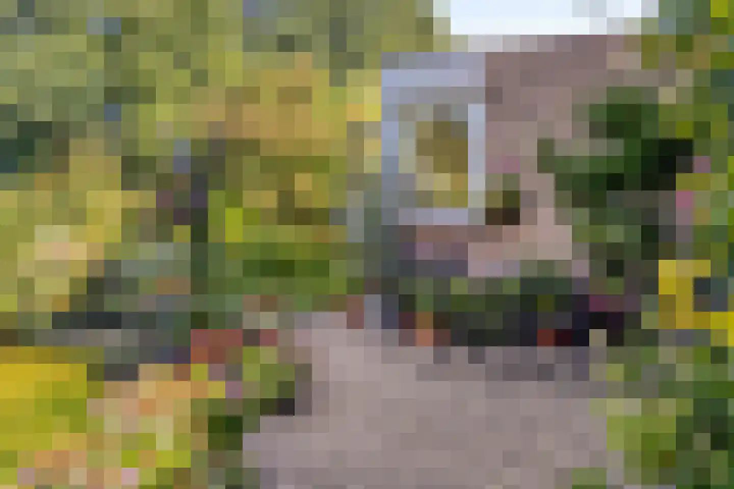 Janssoniushof 30 Waalwijk thumbnail 30