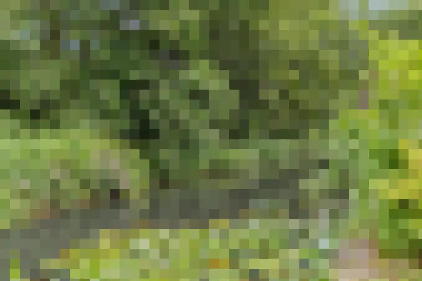 Janssoniushof 30 Waalwijk thumbnail 32