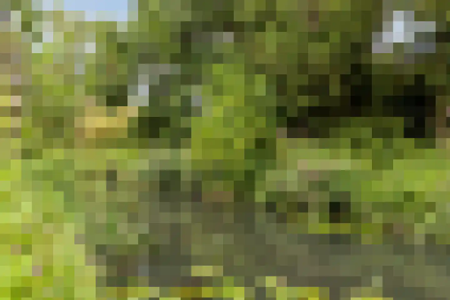 Janssoniushof 30 Waalwijk thumbnail 33