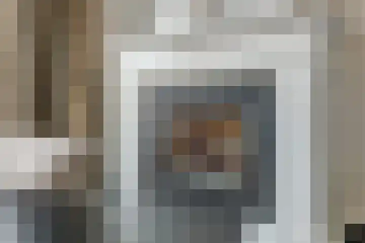 Janssoniushof 33 Waalwijk thumbnail 11