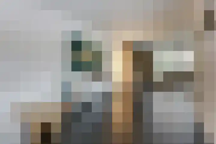 Janssoniushof 33 Waalwijk thumbnail 12