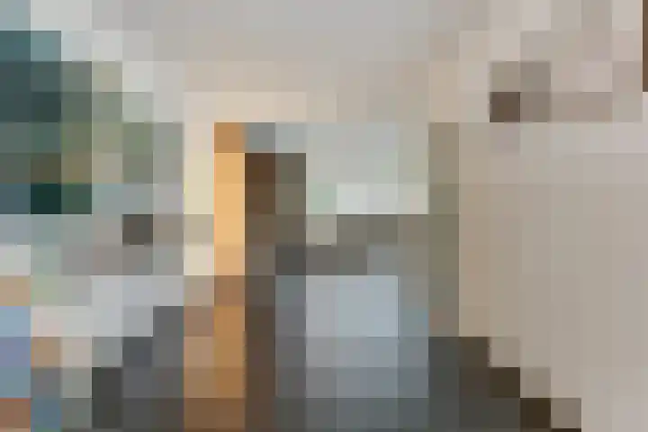 Janssoniushof 33 Waalwijk thumbnail 13