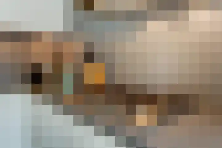 Janssoniushof 33 Waalwijk thumbnail 16