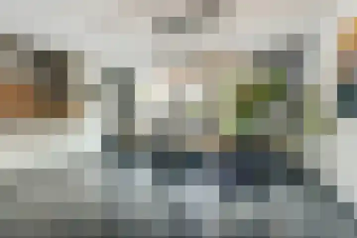 Janssoniushof 33 Waalwijk thumbnail 18