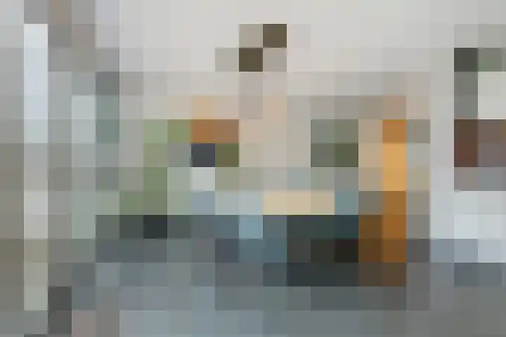 Janssoniushof 33 Waalwijk thumbnail 19