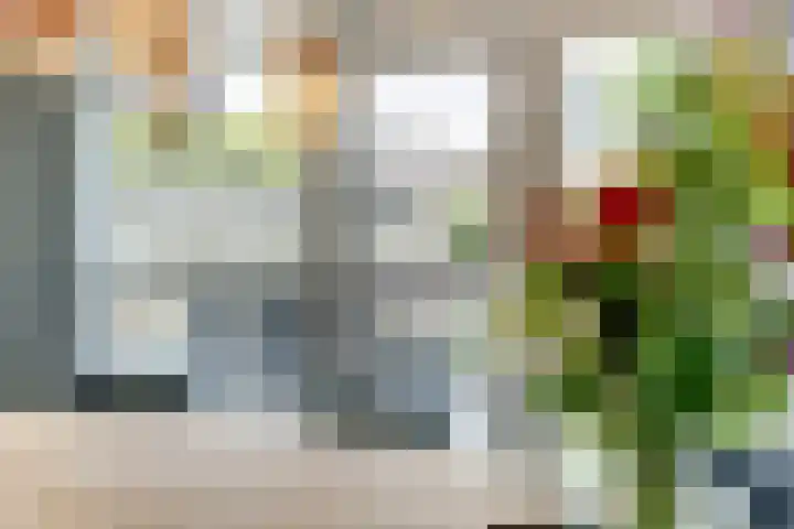 Janssoniushof 33 Waalwijk thumbnail 21