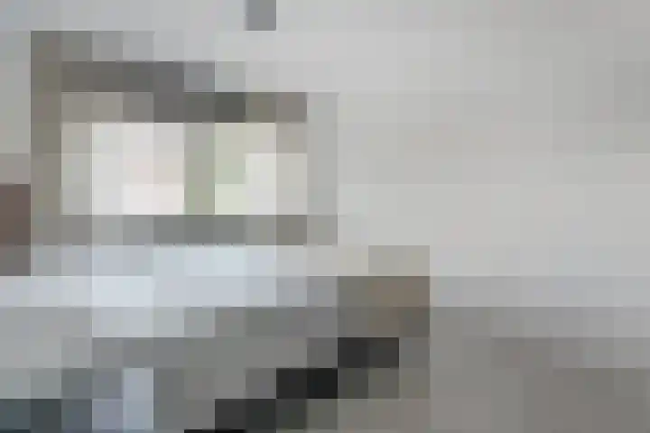 Janssoniushof 33 Waalwijk thumbnail 23