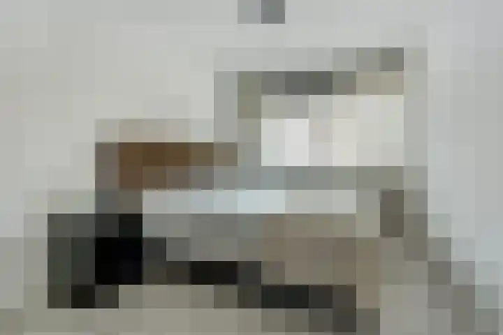 Janssoniushof 33 Waalwijk thumbnail 24