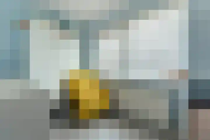 Janssoniushof 33 Waalwijk thumbnail 25