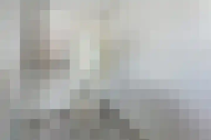 Janssoniushof 33 Waalwijk thumbnail 28