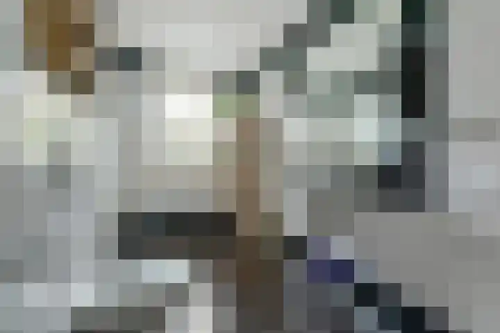 Janssoniushof 33 Waalwijk thumbnail 29