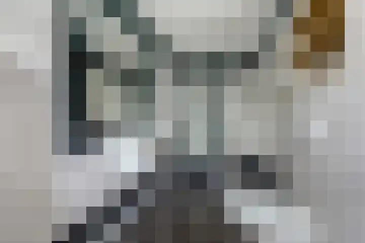 Janssoniushof 33 Waalwijk thumbnail 30