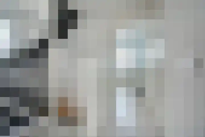 Janssoniushof 33 Waalwijk thumbnail 32