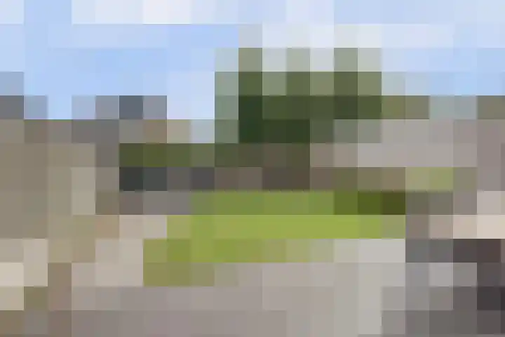 Janssoniushof 33 Waalwijk thumbnail 38