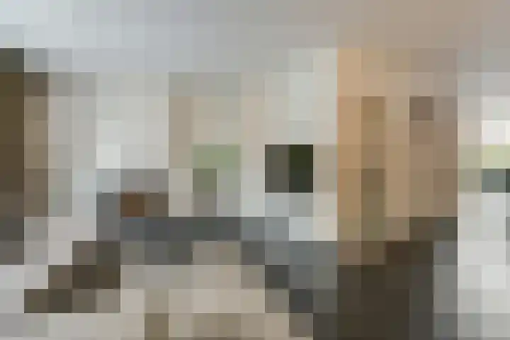 Janssoniushof 33 Waalwijk thumbnail 4