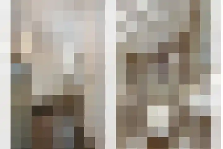 Janssoniushof 33 Waalwijk thumbnail 6