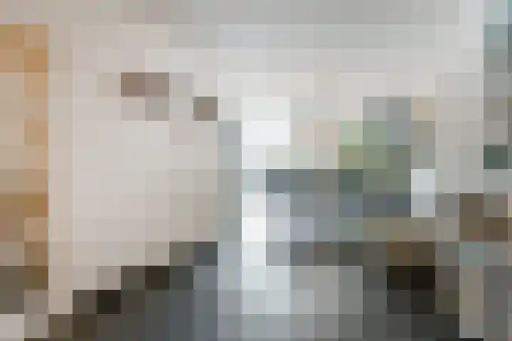 Janssoniushof 33 Waalwijk thumbnail 7