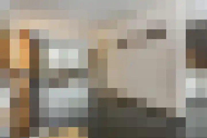 Janssoniushof 33 Waalwijk thumbnail 8